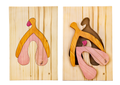 Puzzle anatomique - Clitoris