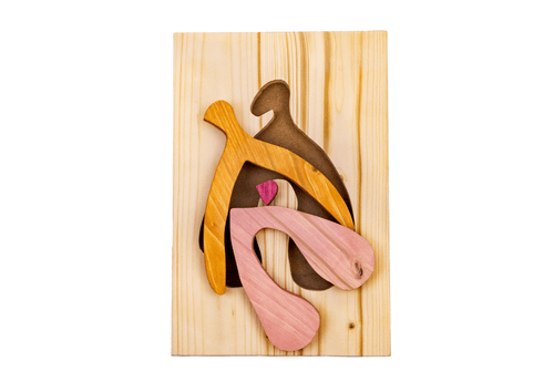 Puzzle anatomique - Clitoris
