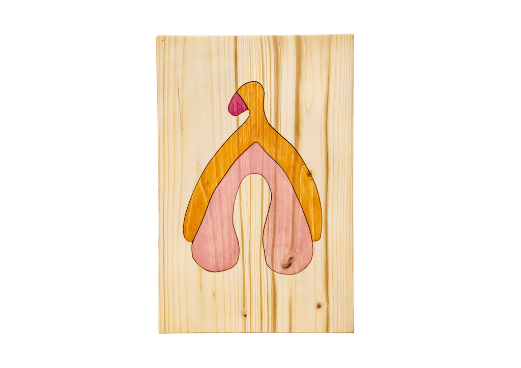 Puzzle anatomique - Clitoris