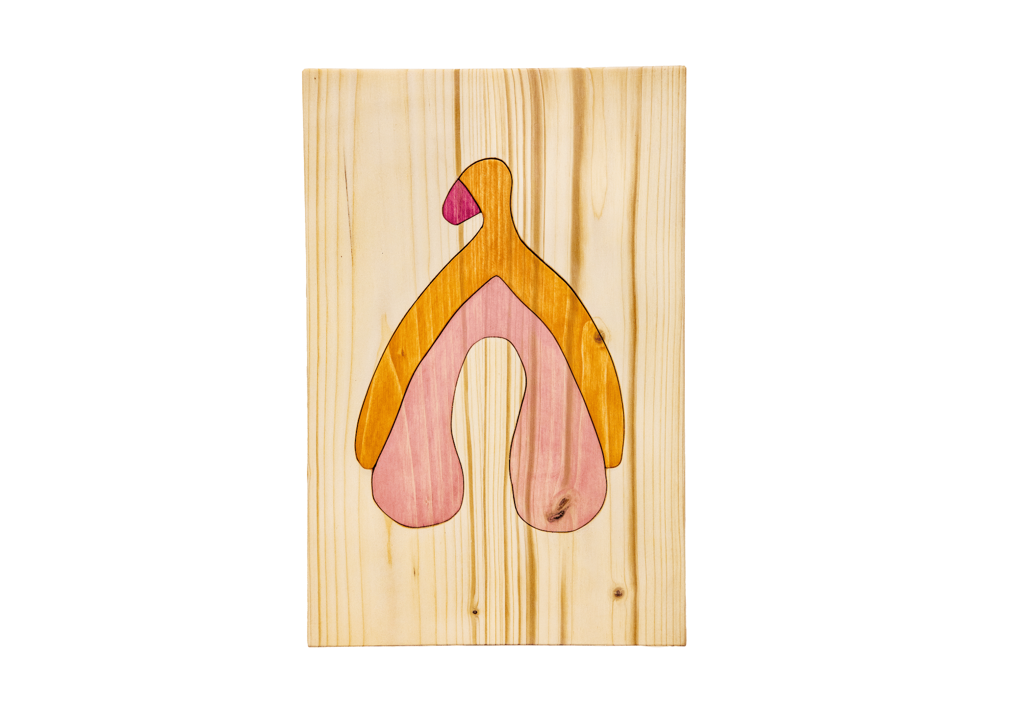 Puzzle anatomique - Clitoris